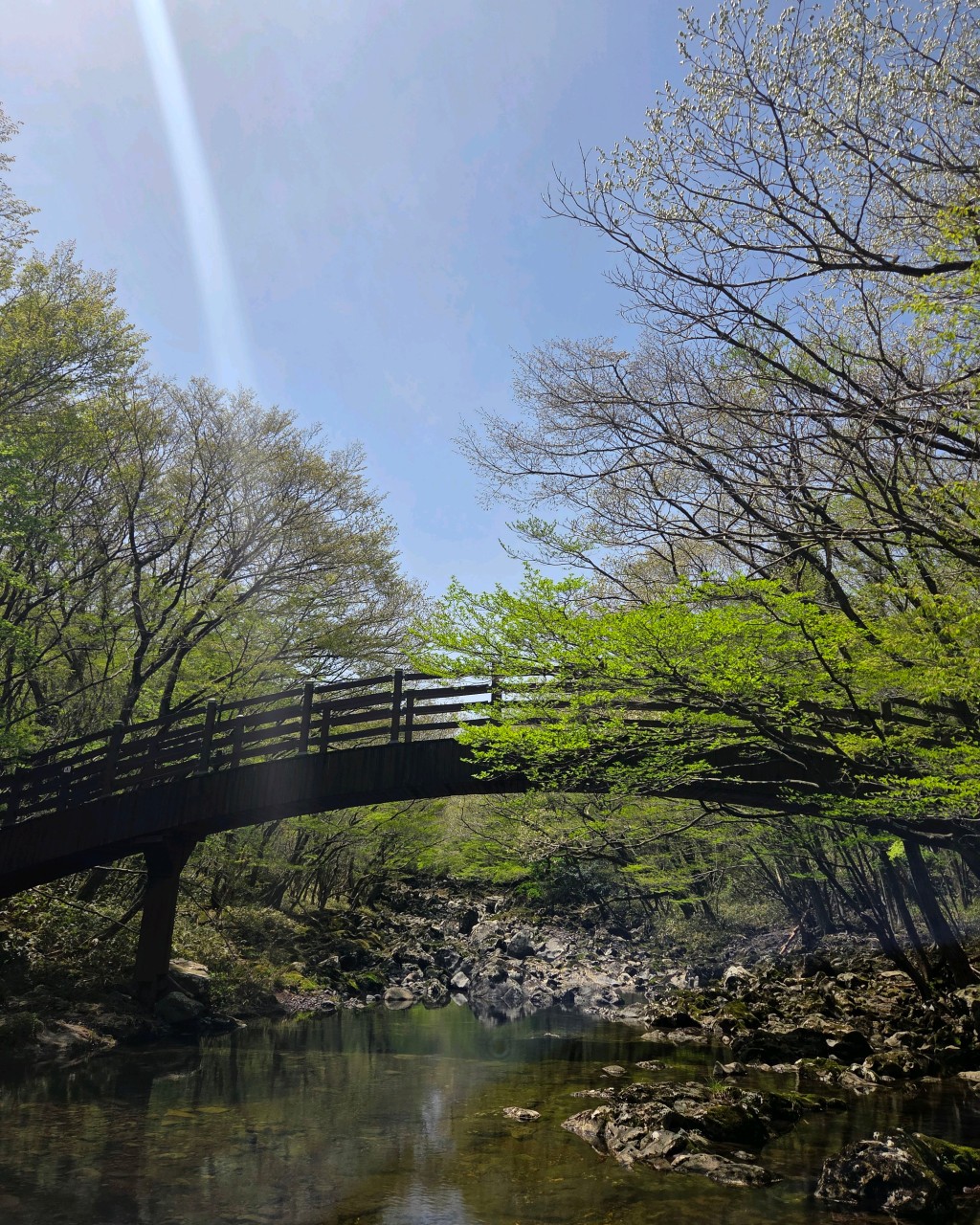 Saryeoni Forest Path