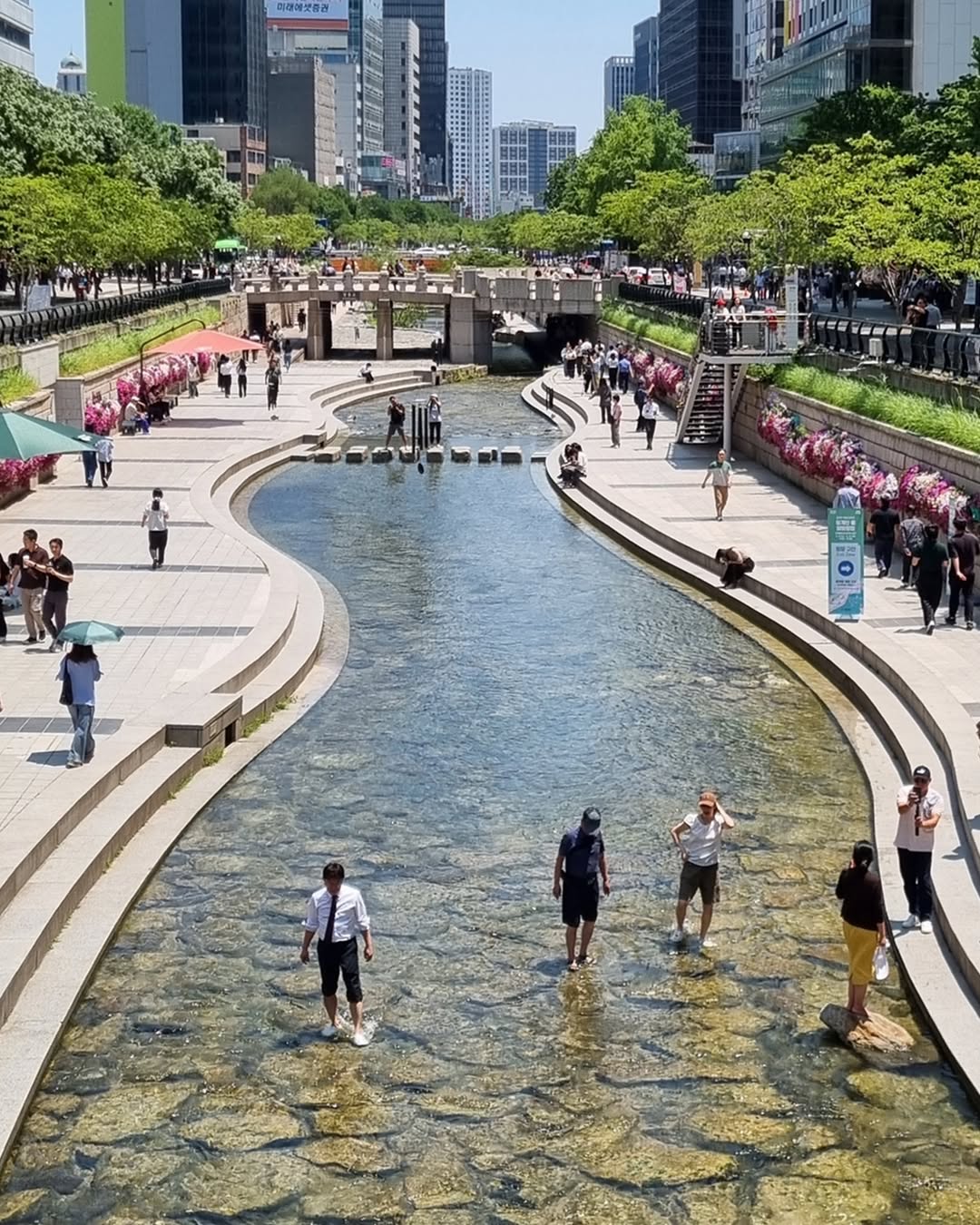Cheonggyecheon Stream